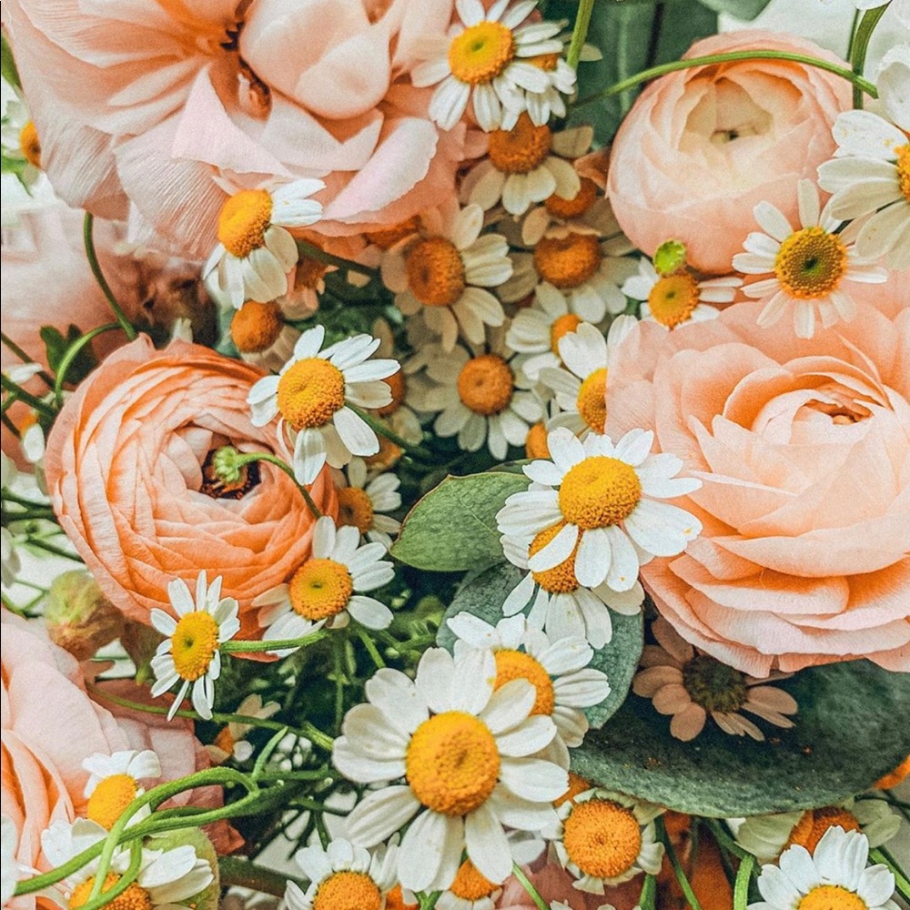 Meet your Posher, Jenna